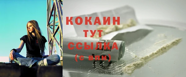прущие грибы Болотное