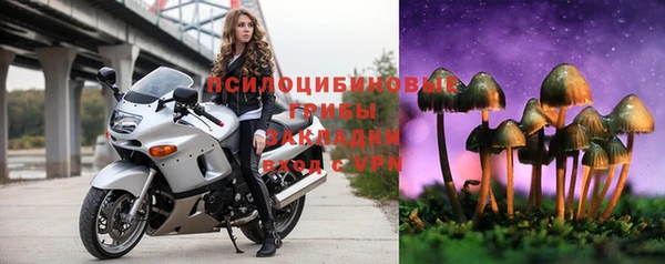 apvp Михайловск