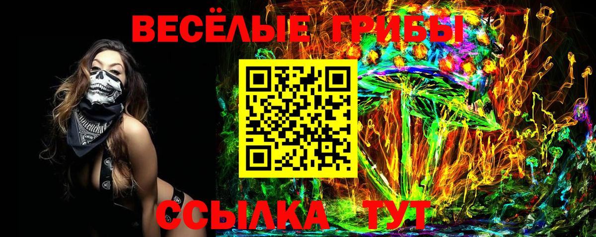 Карабулак  Псилоцибиновые грибы прущие грибы  Вход с VPN 
