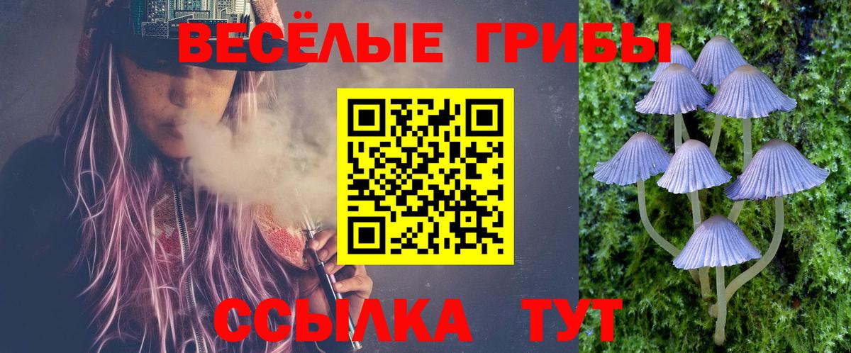 Галлюциногенные грибы MAGIC MUSHROOMS Карабулак