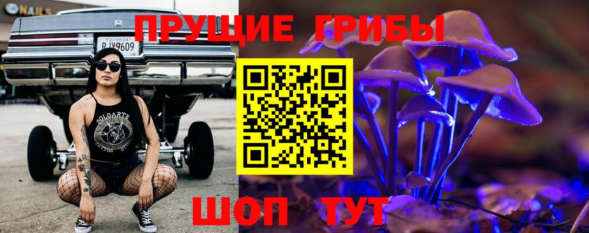 Псилоцибиновые грибы Psilocybe  Карабулак 