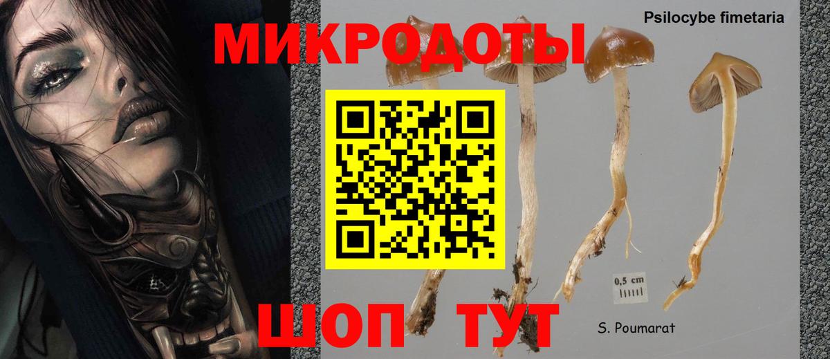 Галлюциногенные грибы GOLDEN TEACHER Карабулак